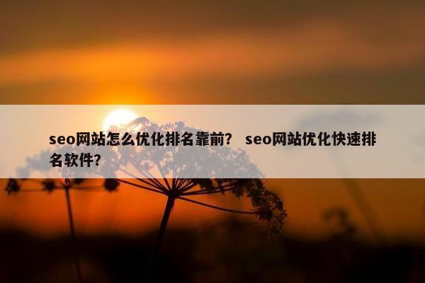 seo网站怎么优化排名靠前？ seo网站优化快速排名软件？