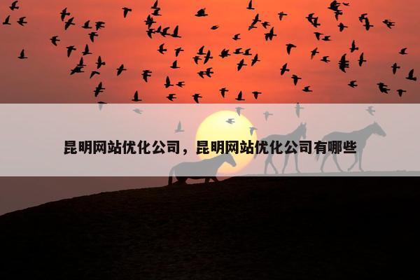 昆明网站优化公司，昆明网站优化公司有哪些