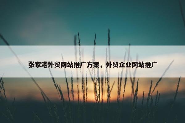 张家港外贸网站推广方案，外贸企业网站推广