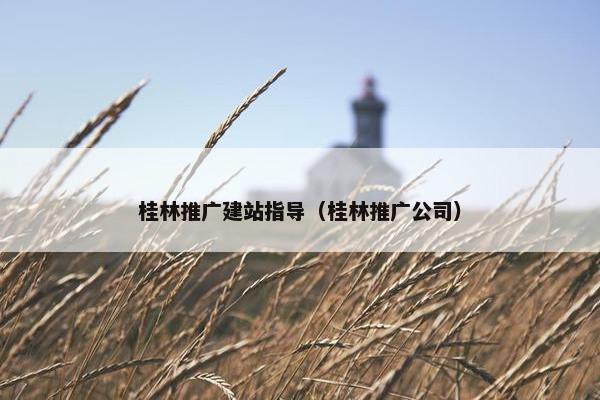 桂林推广建站指导（桂林推广公司）