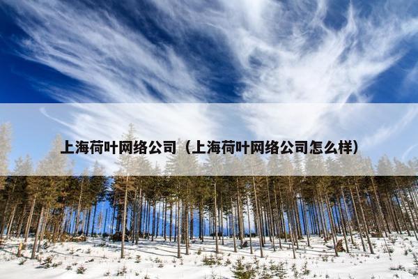 上海荷叶网络公司（上海荷叶网络公司怎么样）