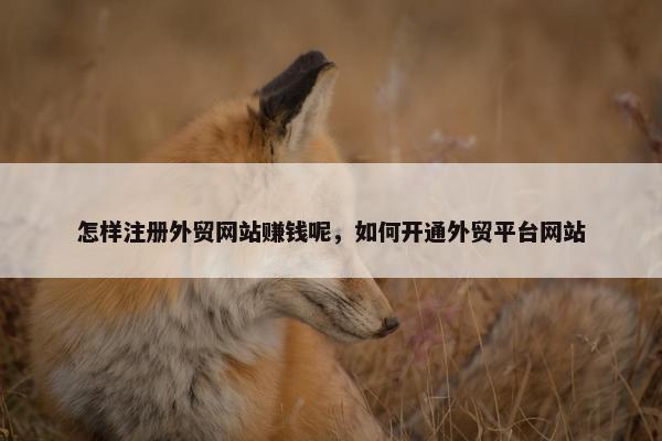 怎样注册外贸网站赚钱呢，如何开通外贸平台网站