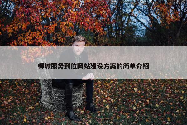 柳城服务到位网站建设方案的简单介绍