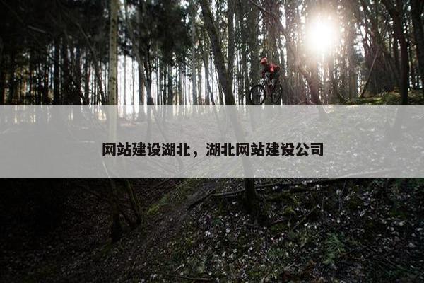 网站建设湖北，湖北网站建设公司