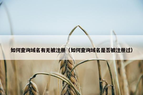 如何查询域名有无被注册（如何查询域名是否被注册过）
