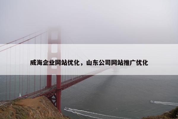 威海企业网站优化，山东公司网站推广优化