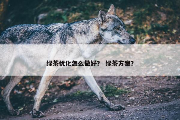 绿茶优化怎么做好？ 绿茶方案？