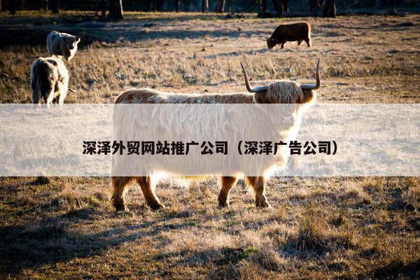 深泽外贸网站推广公司（深泽广告公司）