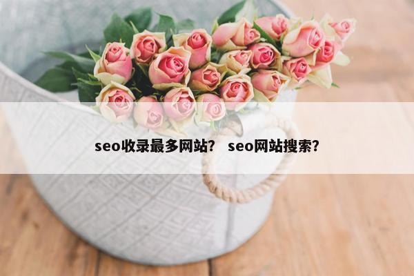 seo收录最多网站？ seo网站搜索？