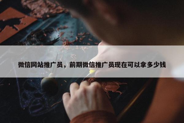 微信网站推广员，前期微信推广员现在可以拿多少钱
