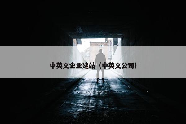 中英文企业建站（中英文公司）