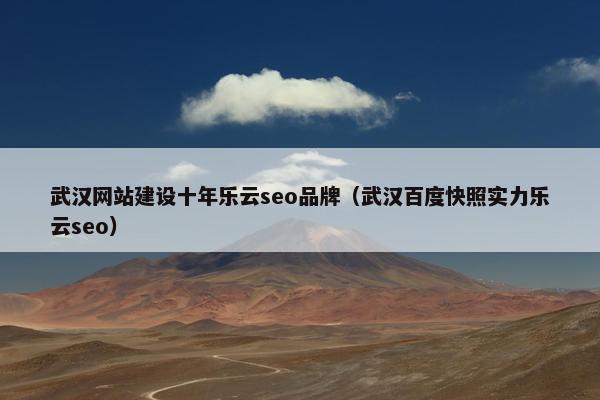 武汉网站建设十年乐云seo品牌（武汉百度快照实力乐云seo）