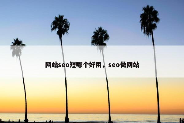 网站seo短哪个好用，seo做网站