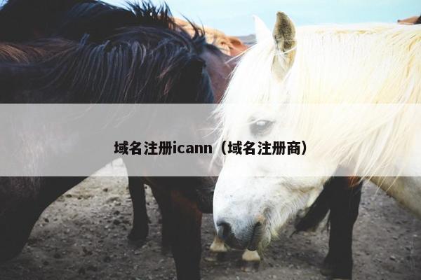 域名注册icann（域名注册商）