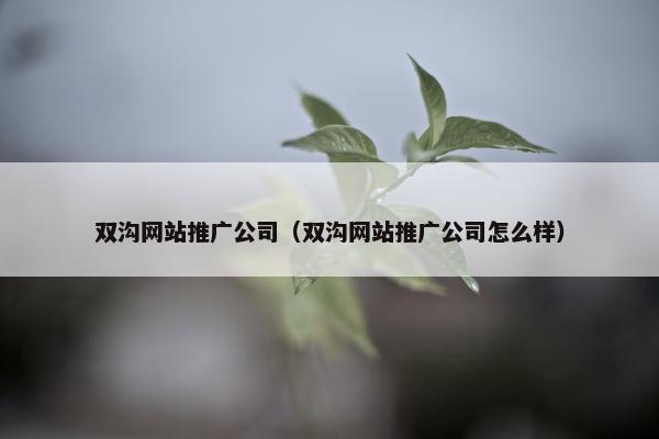 双沟网站推广公司（双沟网站推广公司怎么样）