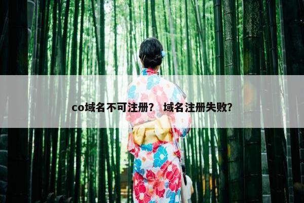 co域名不可注册？ 域名注册失败？