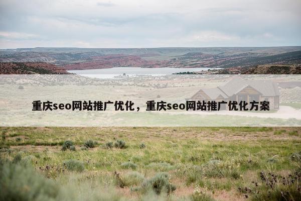 重庆seo网站推广优化，重庆seo网站推广优化方案