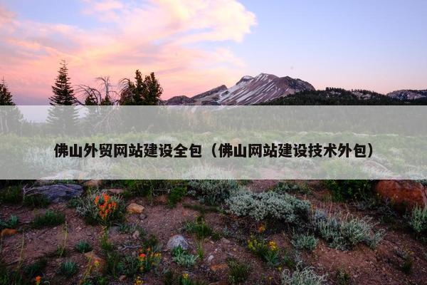 佛山外贸网站建设全包（佛山网站建设技术外包）