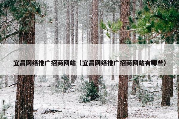 宜昌网络推广招商网站（宜昌网络推广招商网站有哪些）