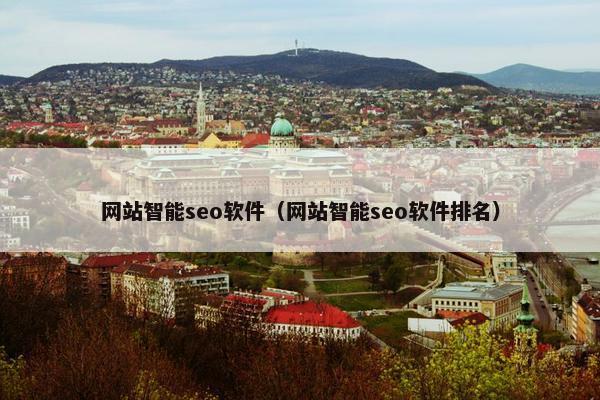 网站智能seo软件（网站智能seo软件排名）