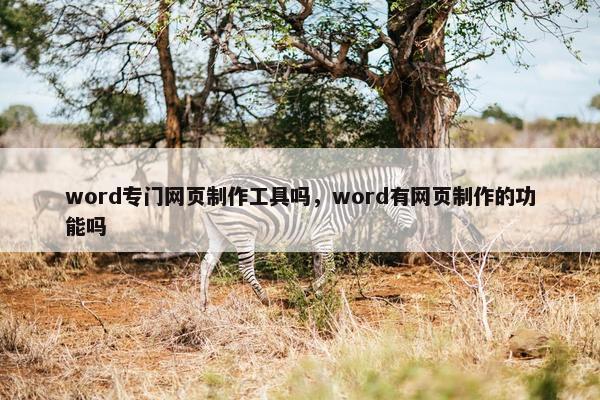 word专门网页制作工具吗，word有网页制作的功能吗