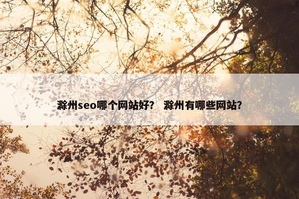 滁州seo哪个网站好？ 滁州有哪些网站？