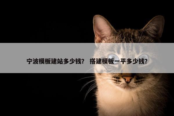 宁波模板建站多少钱？ 搭建模板一平多少钱？