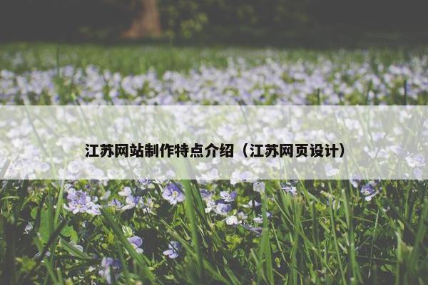 江苏网站制作特点介绍（江苏网页设计）