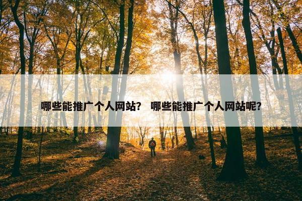 哪些能推广个人网站？ 哪些能推广个人网站呢？