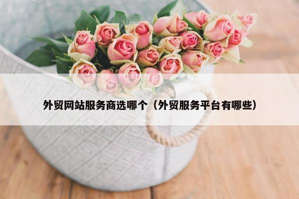 外贸网站服务商选哪个（外贸服务平台有哪些）