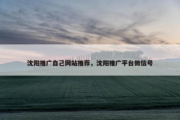 沈阳推广自己网站推荐，沈阳推广平台微信号