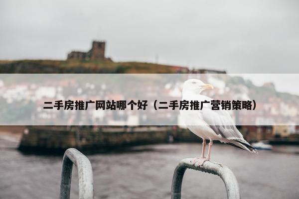 二手房推广网站哪个好（二手房推广营销策略）