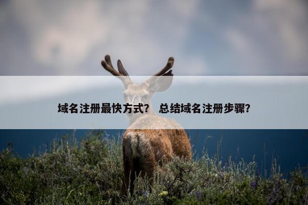 域名注册最快方式？ 总结域名注册步骤？