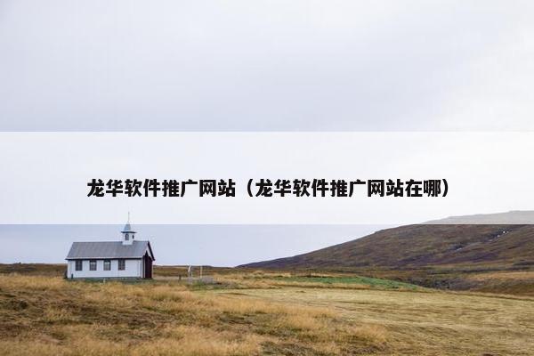 龙华软件推广网站（龙华软件推广网站在哪）