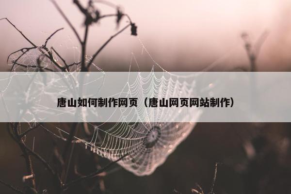 唐山如何制作网页（唐山网页网站制作）