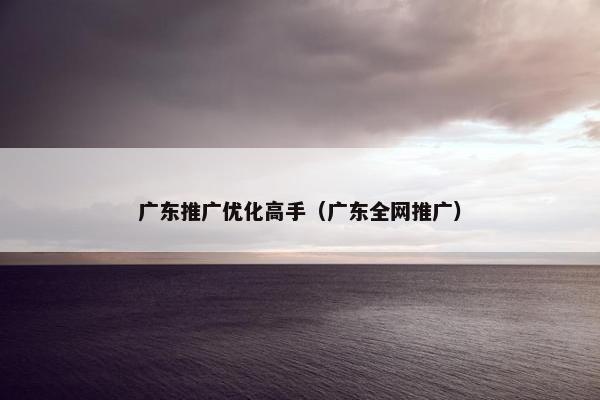 广东推广优化高手（广东全网推广）