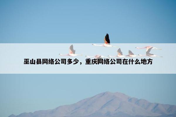巫山县网络公司多少，重庆网络公司在什么地方