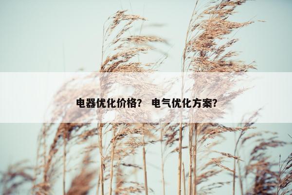 电器优化价格？ 电气优化方案？