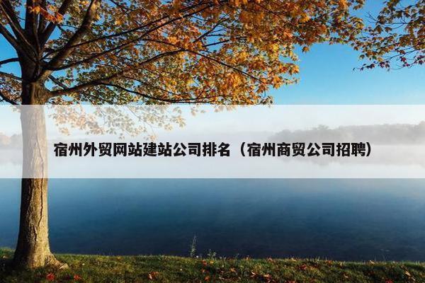 宿州外贸网站建站公司排名（宿州商贸公司招聘）
