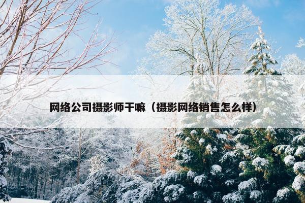 网络公司摄影师干嘛（摄影网络销售怎么样）