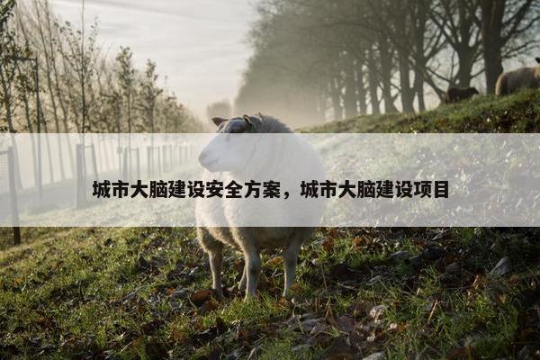 城市大脑建设安全方案，城市大脑建设项目