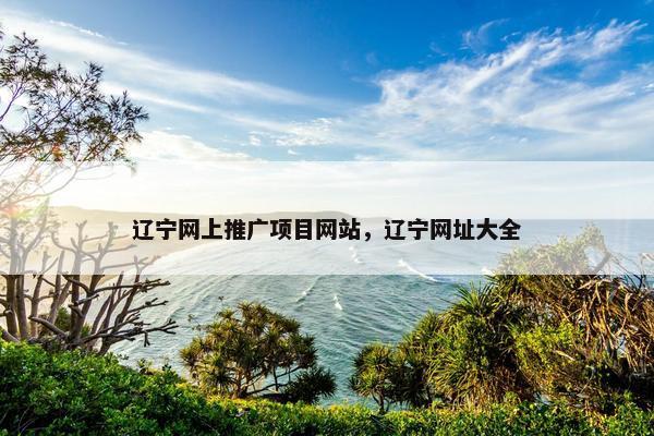 辽宁网上推广项目网站，辽宁网址大全