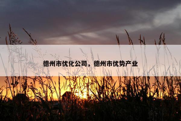 德州市优化公司，德州市优势产业
