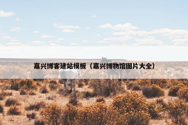 嘉兴博客建站模板（嘉兴博物馆图片大全）