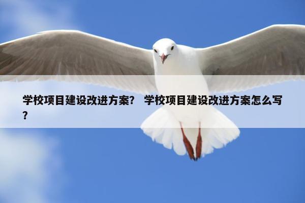 学校项目建设改进方案？ 学校项目建设改进方案怎么写？