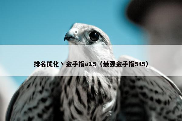 排名优化丶金手指a15（最强金手指5t5）