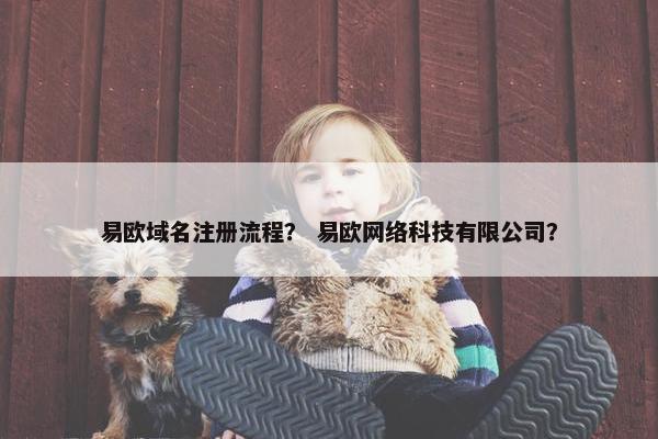易欧域名注册流程？ 易欧网络科技有限公司？