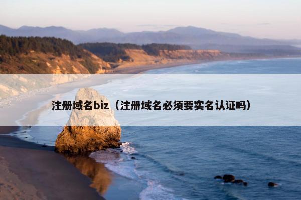 注册域名biz（注册域名必须要实名认证吗）