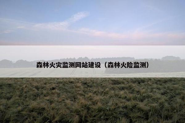 森林火灾监测网站建设（森林火险监测）