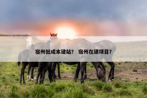 宿州低成本建站？ 宿州在建项目？